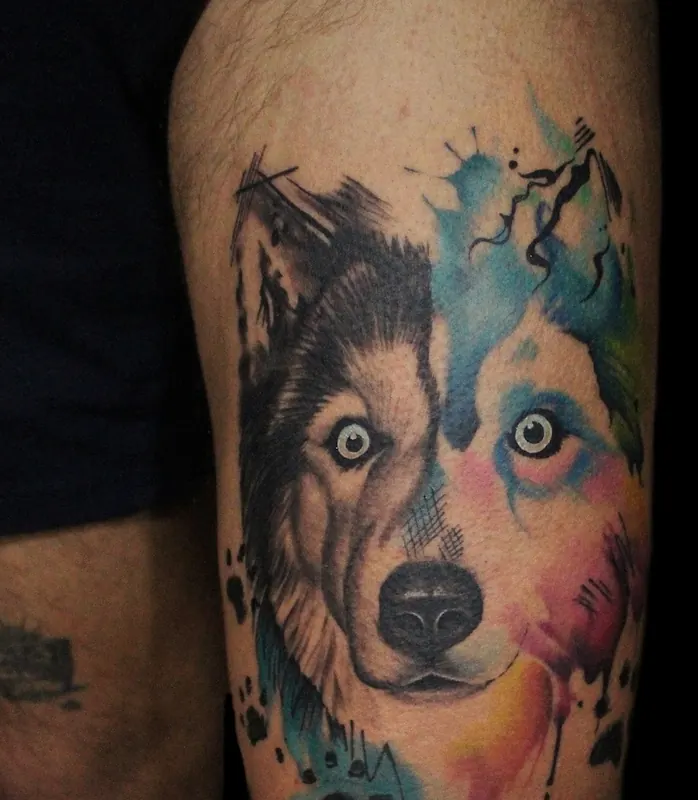 Watercolour husky portrait tattoo on a thigh